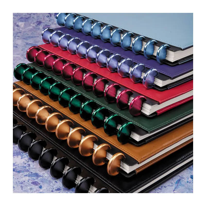 Aluminum Circa Notebook Discs (set of 11)