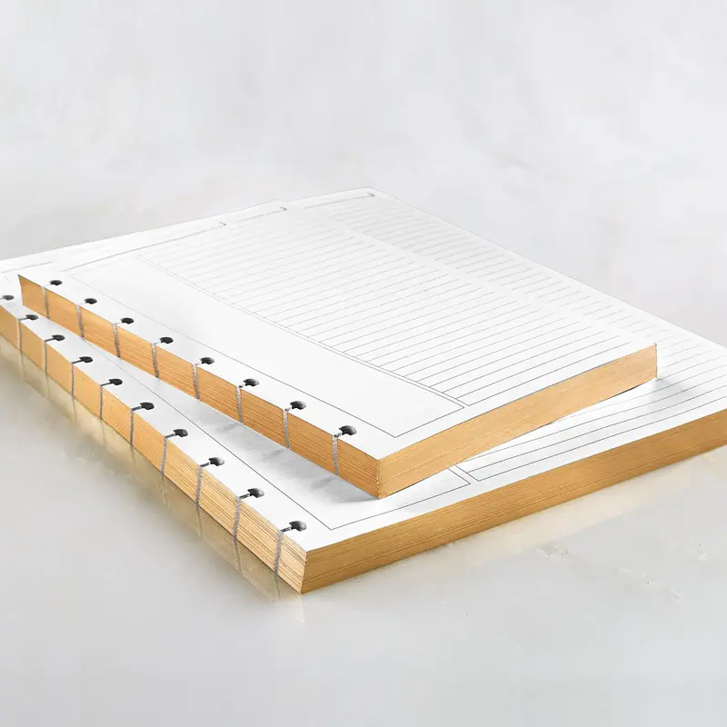 Circa Luxe Annotation Ruled Discbound Refill (100 sheets)