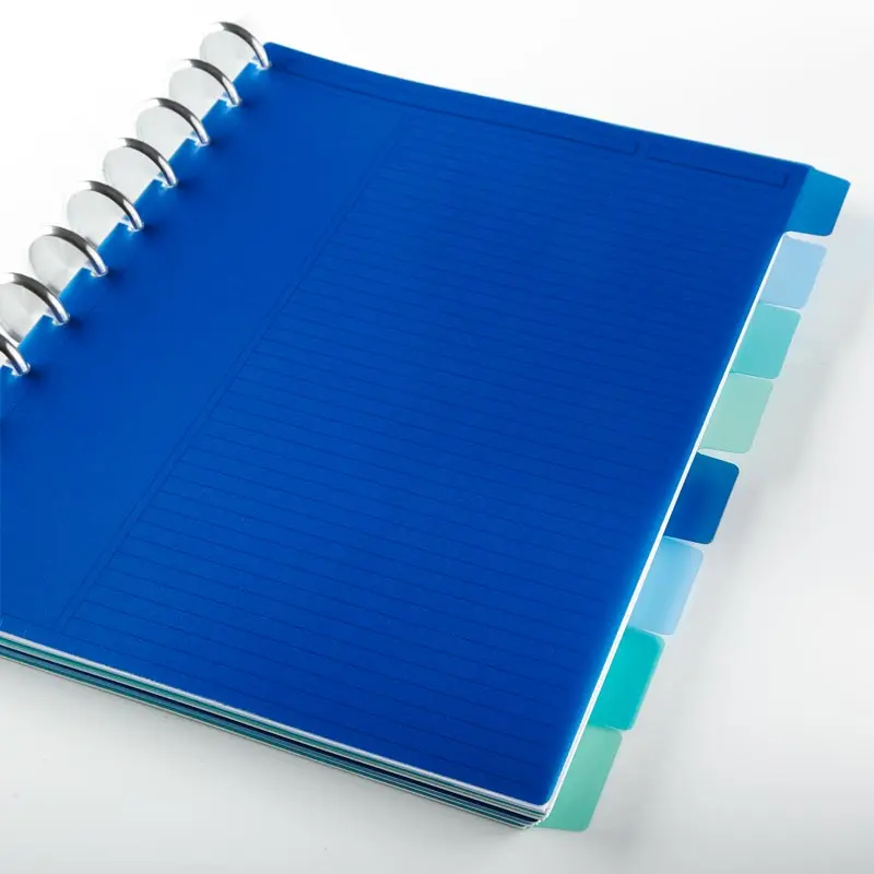 Circa Sea and Sky Discbound Notebook Dividers (set of 8)