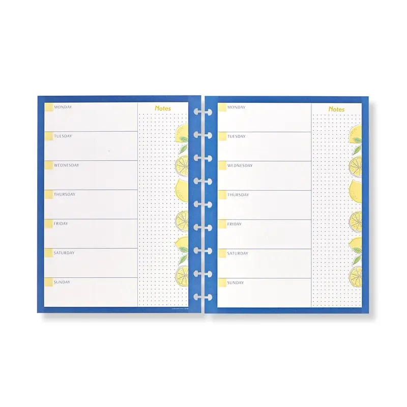 Circa Lemonade Weekly/Monthly Undated Agenda Refill (40 sheets)