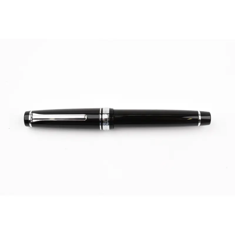 Sailor Pro Gear Fountain Pen - Ginza Silver - Matte Grip
