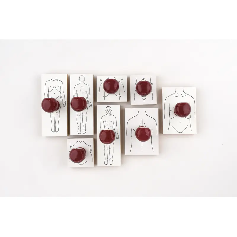 Sanby Human Body Diagram Rubber Stamps