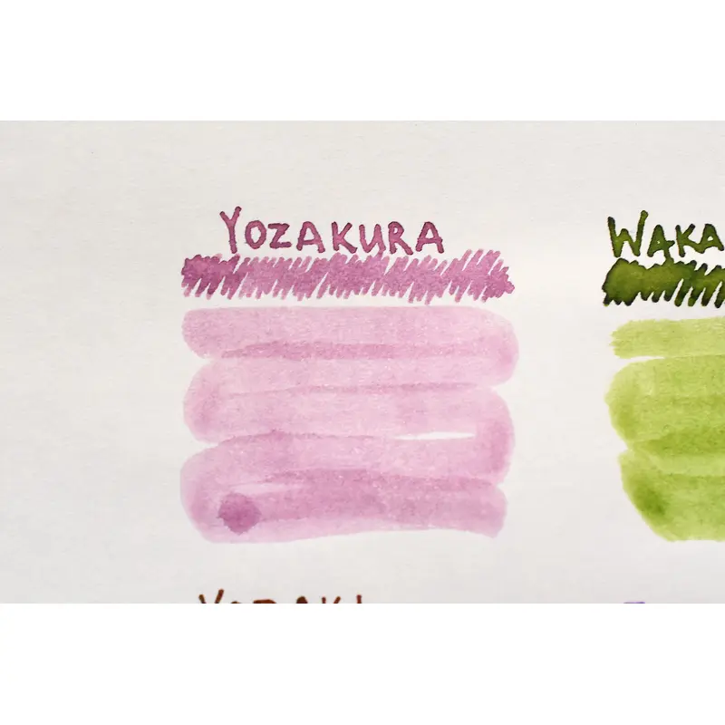 Sailor Shikiori Yozakura Ink - 20 ml Bottle