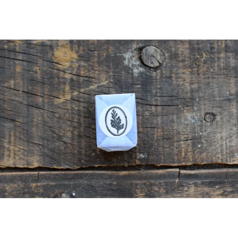 LCN Fern Specimen Metal Stamp - Common Wedgelet Fern (Ellipse)