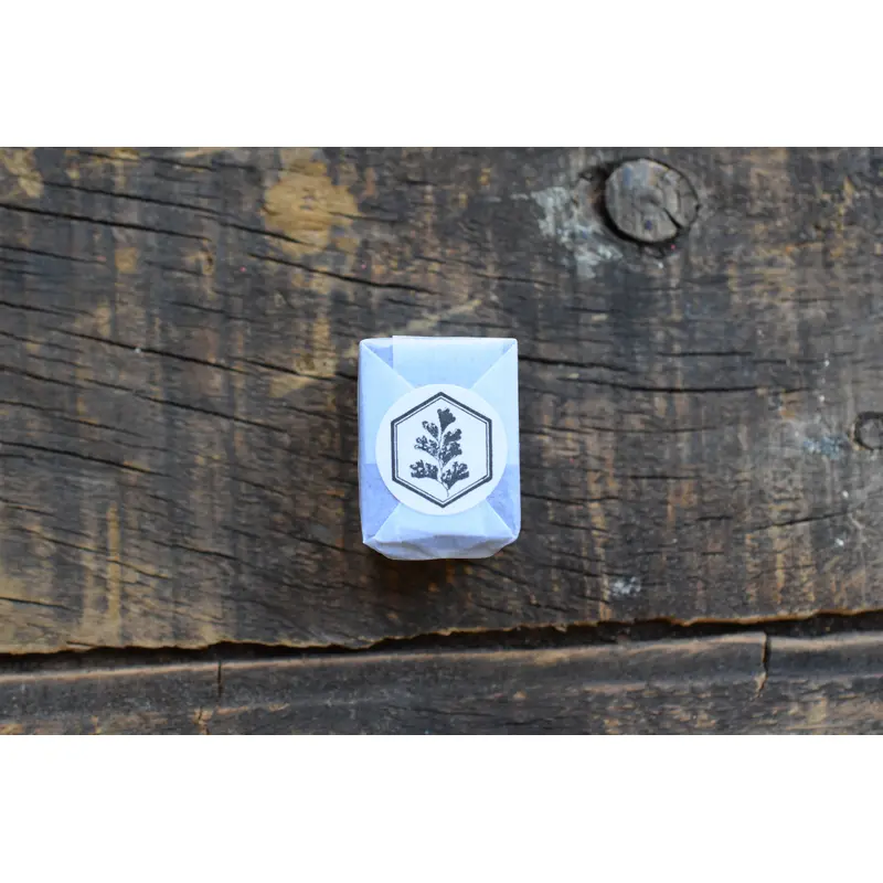 LCN Fern Specimen Metal Stamp - Southern Maidenhair Fern (Hexagon)