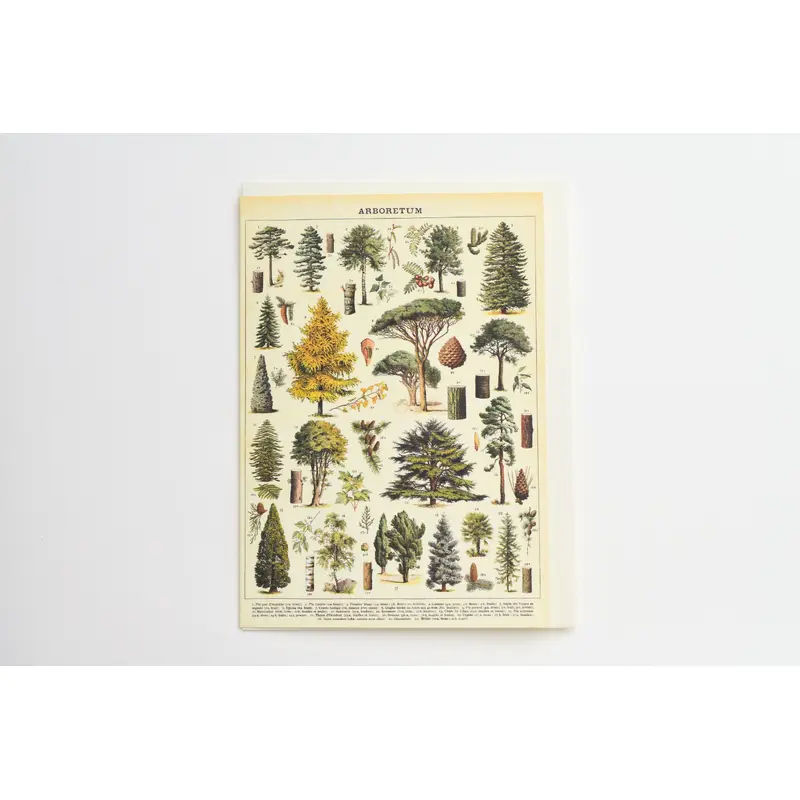 Arboretum Greeting Card