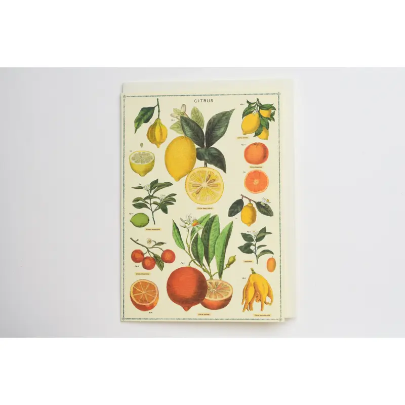 Citrus Greeting Card