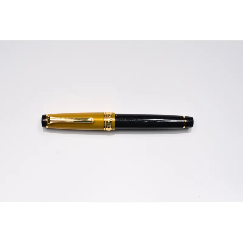 Sailor Pro Gear Fountain Pen - Stellar Black Hole