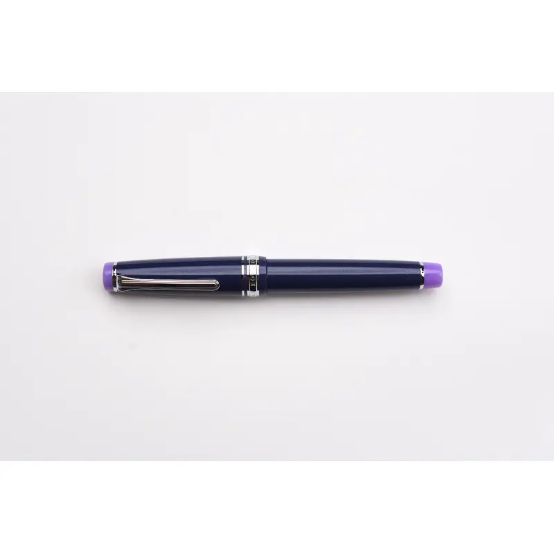 Sailor Pro Gear Fountain Pen - Storm Over the Ocean