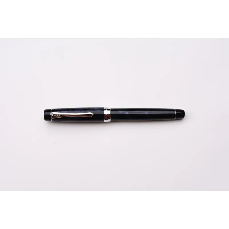 Pilot Custom Heritage SE Fountain Pen - Black Marble