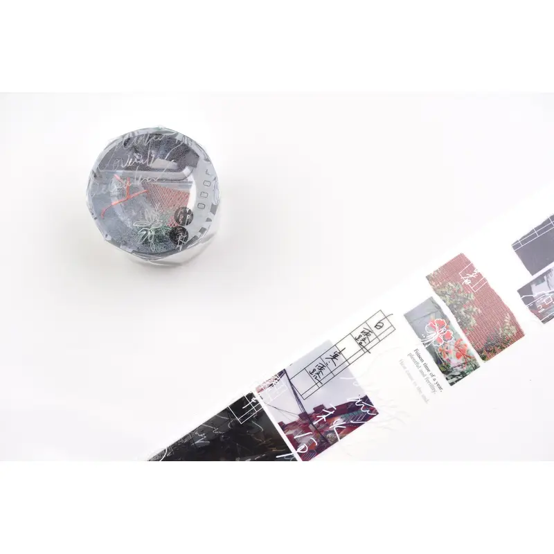 Some Sort of Fern Matte PET Tape - 24 Seasons