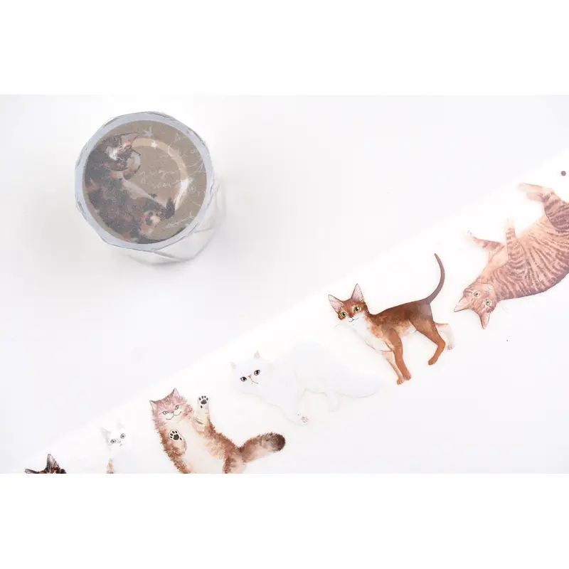 Some Sort of Fern Matte PET Tape - Cat - Ginger