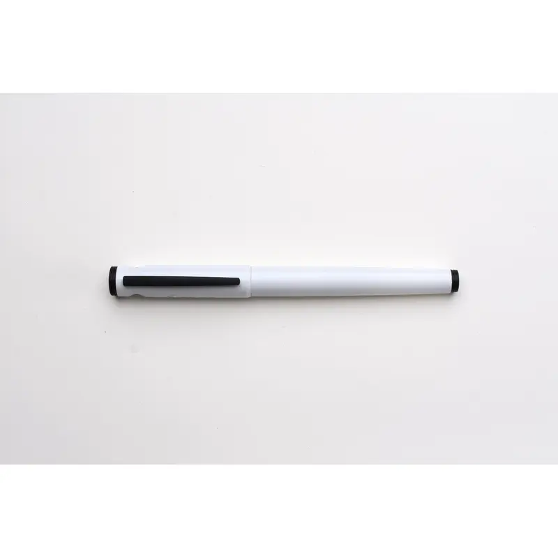Pilot Explorer Fountain Pen - White