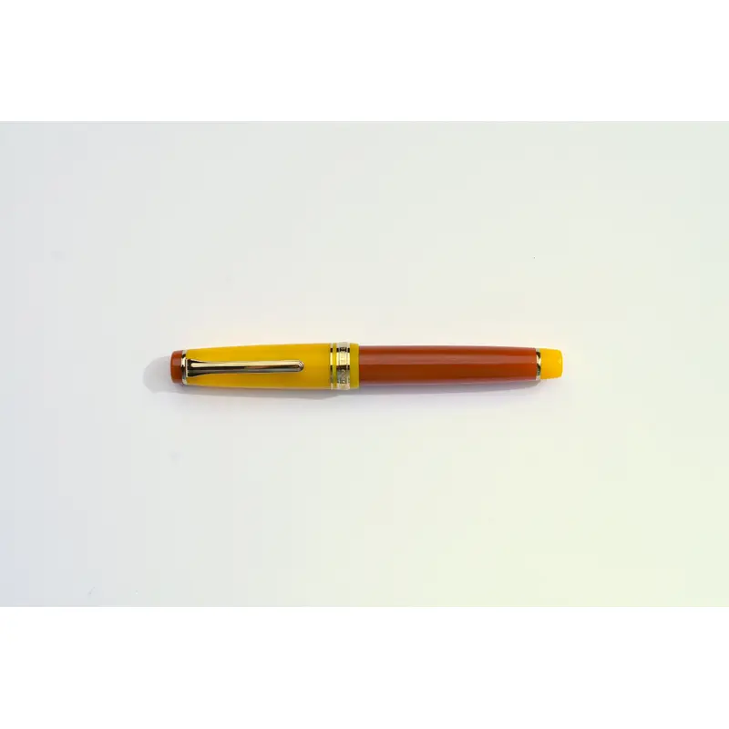 Sailor Pro Gear Fountain Pen - Moonlight Over the Ocean