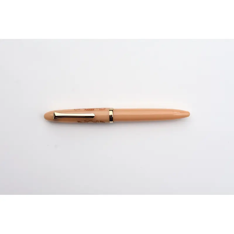 Sailor Profit Junior x mizutama Fountain Pen - Limited Edition - Kohiru