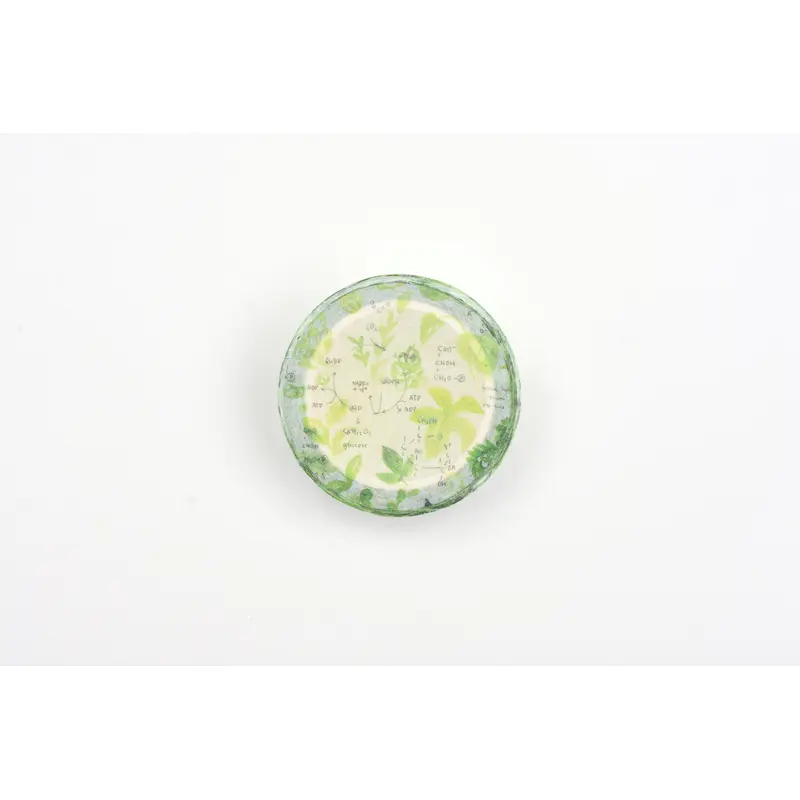 Ameruu Washi Tape - Photosynthse