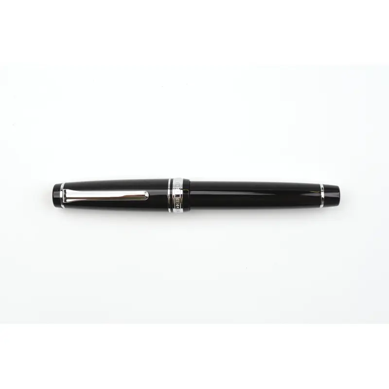 Sailor Pro Gear Fountain Pen - Ginza Silver