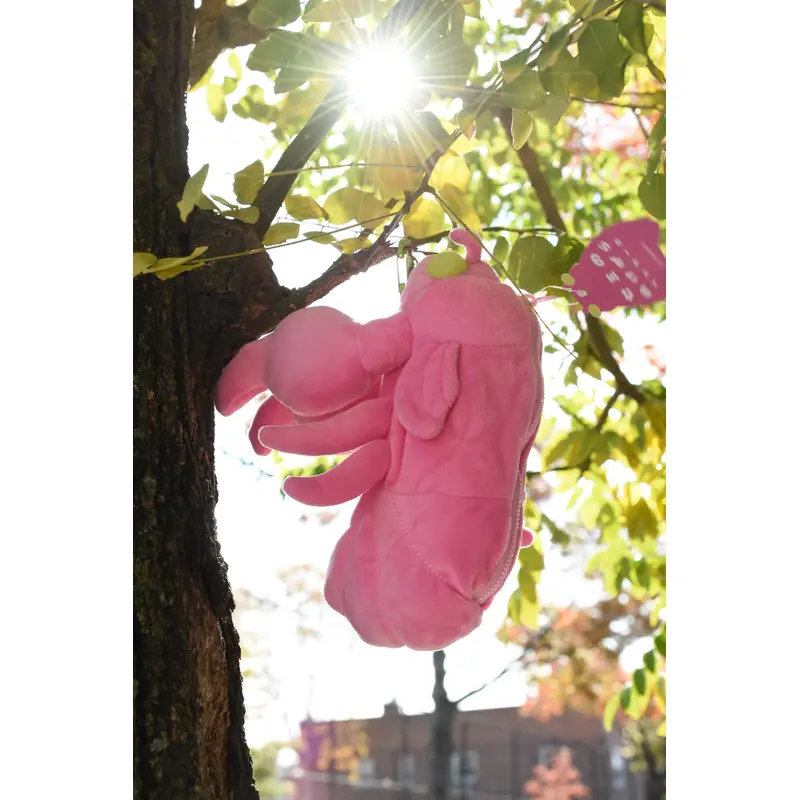 Sun-Star Cicada Shell Pencil Case