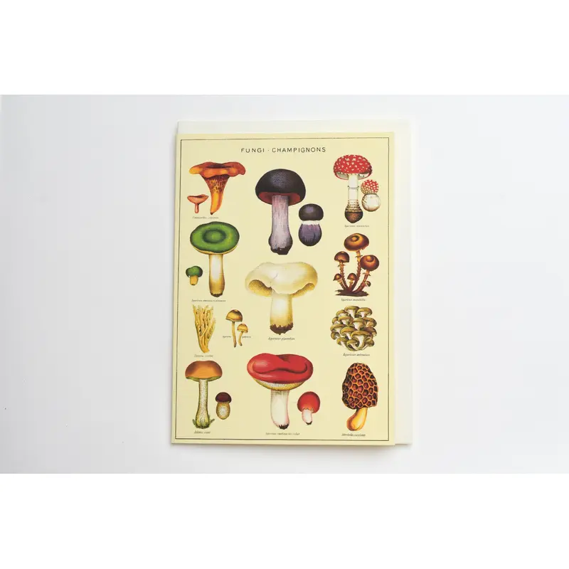 Mushroom Greeting Card