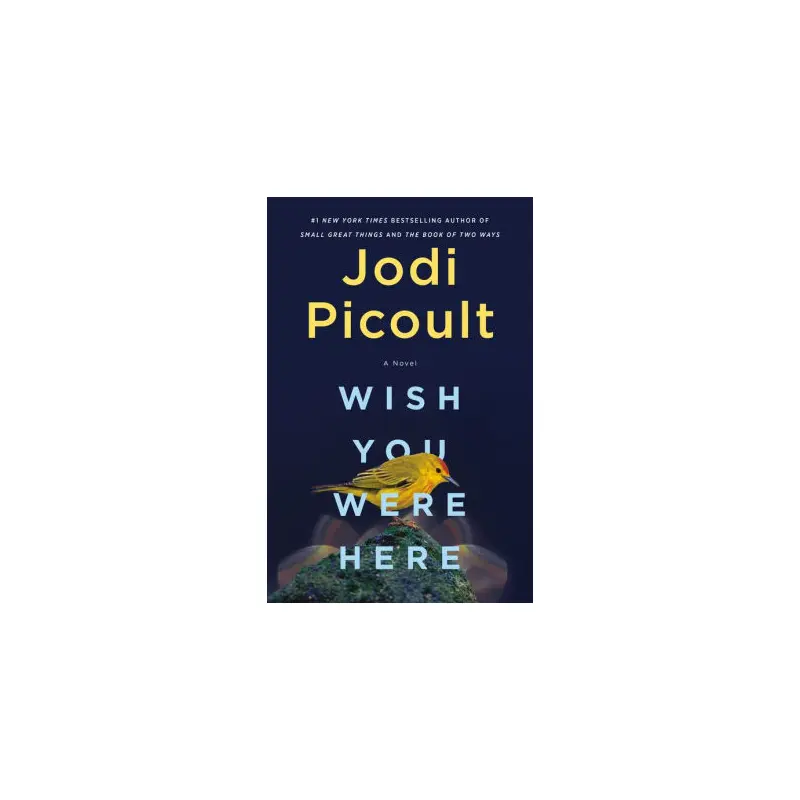 WISH YOU WERE HERE - PICOULT. JODI