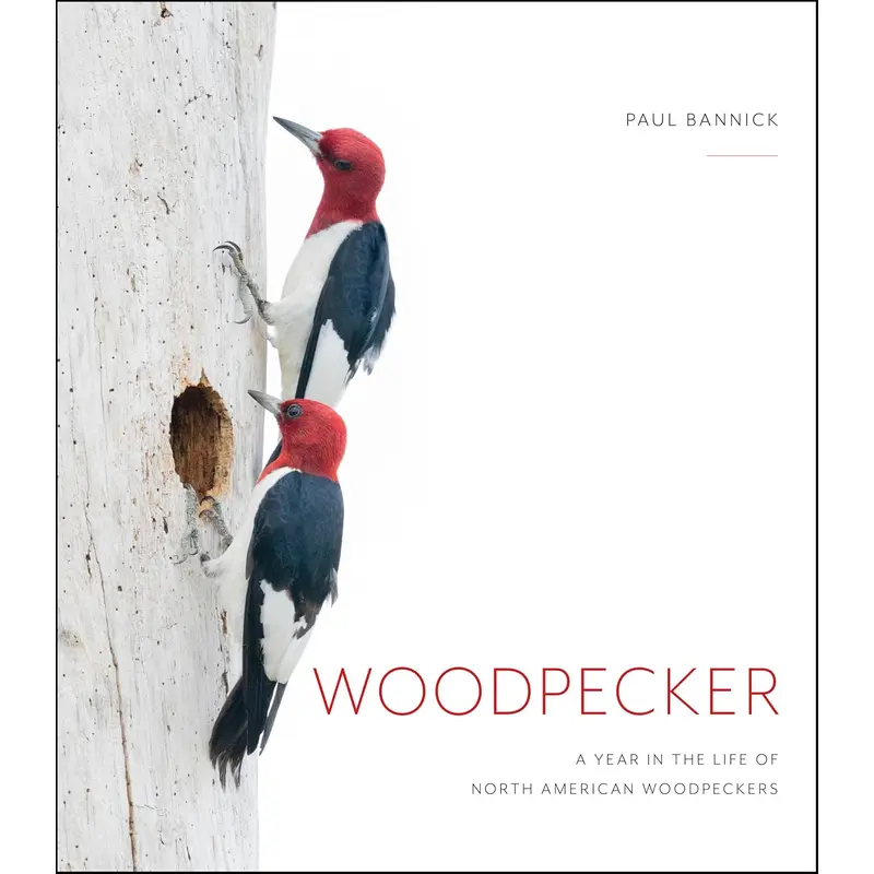 WOODPECKER: A YEAR IN THE LIFE OF NORTH AMERICAN WOODPECKERS - BANNICK. PAUL