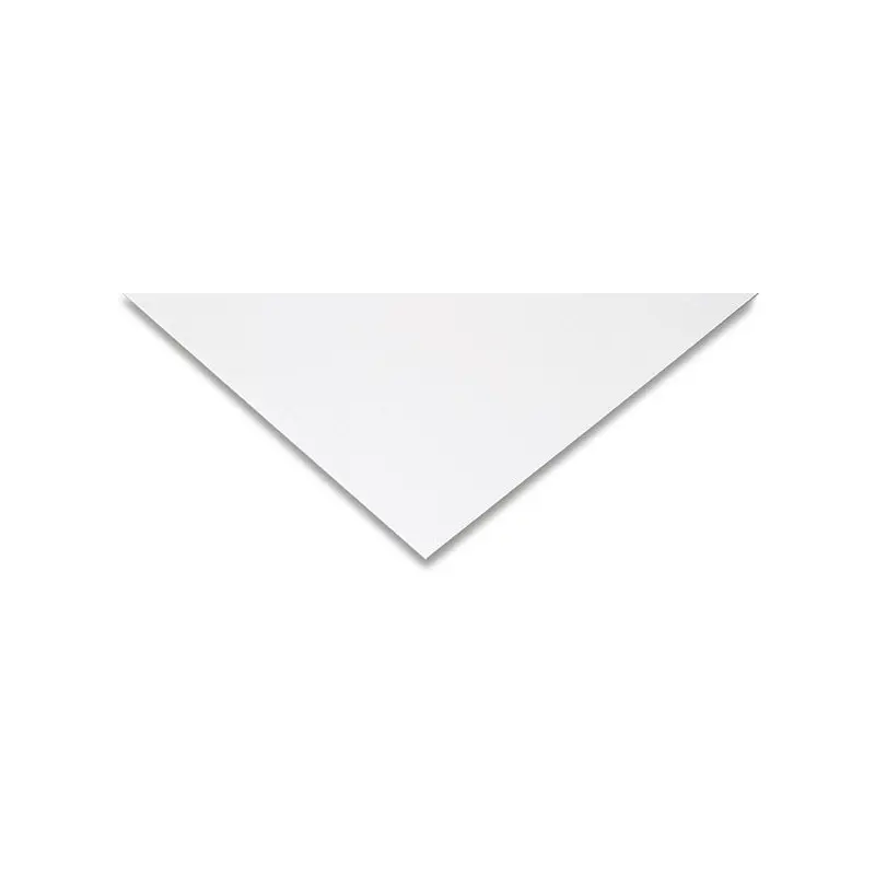 20X30 COLD PRESS ILLUSTRATION