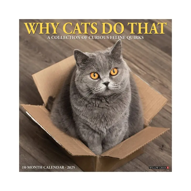 WHY CATS DO THAT 2025 WALL CALENDAR - WILLOW CREEK PRESS