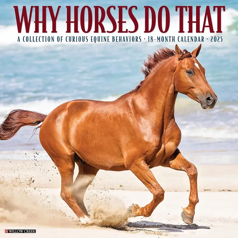 WHY HORSES DO THAT 2025 WALL CALENDAR - WILLOW CREEK PRESS