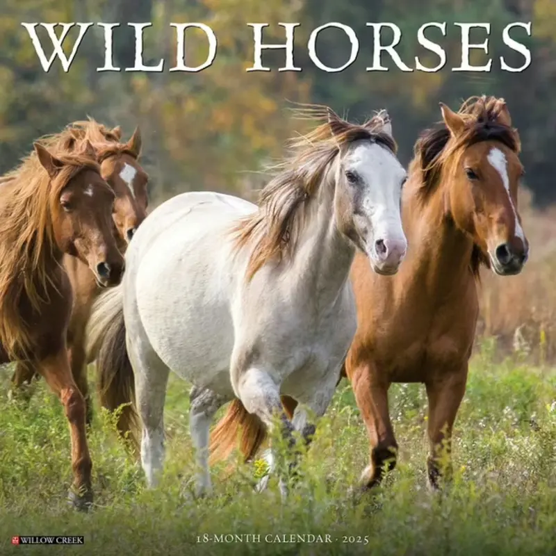 WILD HORSES 2025 WALL CALENDAR - WILLOW CREEK PRESS