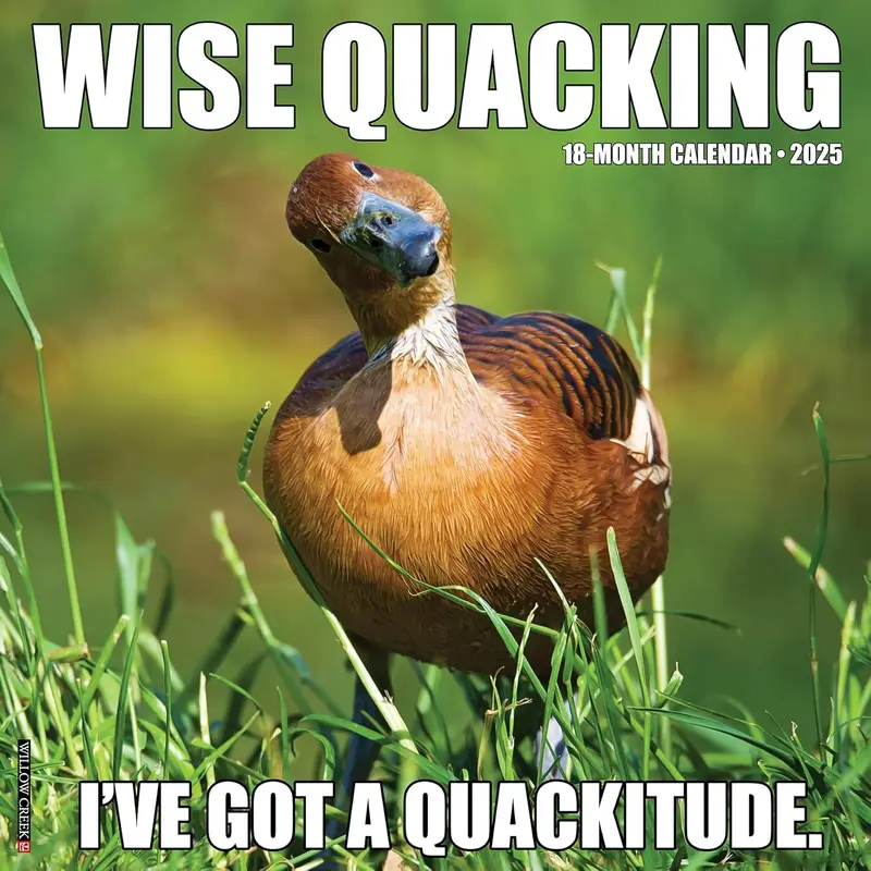 WISE QUACKING 2025 WALL CALENDAR - WILLOW CREEK PRESS