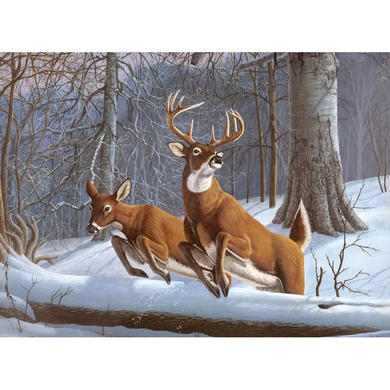 WHITE TAILS PAINT BY NUMBE