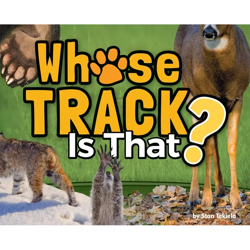 WHOSE TRACK IS THAT? - TEKIELA. STAN