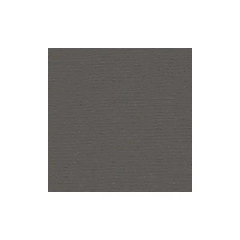 12X12 CLOAK GRAY CARDSTOCK PAPER