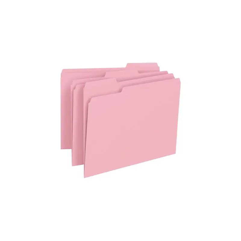 **Pink File Folders 12643