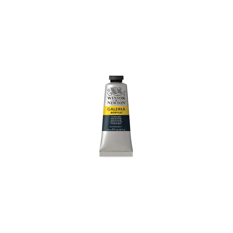 ACRYLIC PAINT  PAYNES GRAY