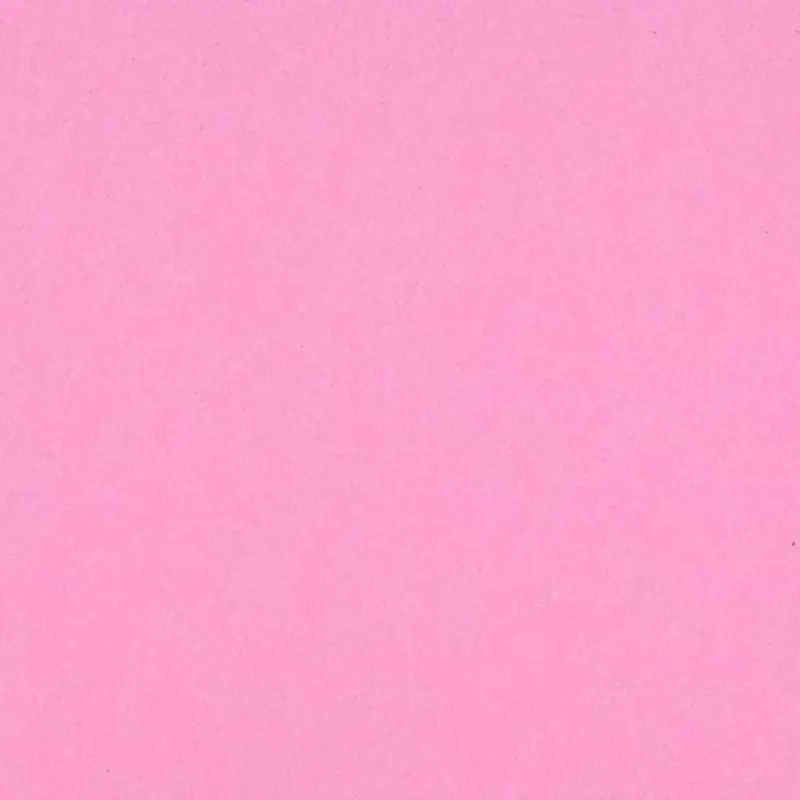 12X12 GUAVA CARDSTOCK