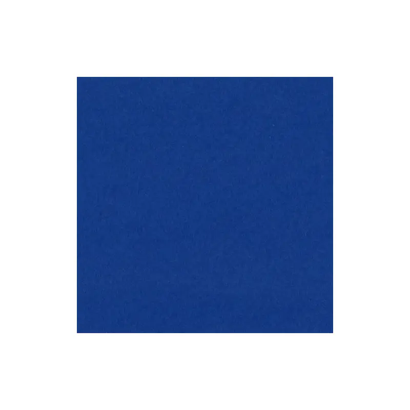 12X12 HUCKLEBERRY CARDSTOCK