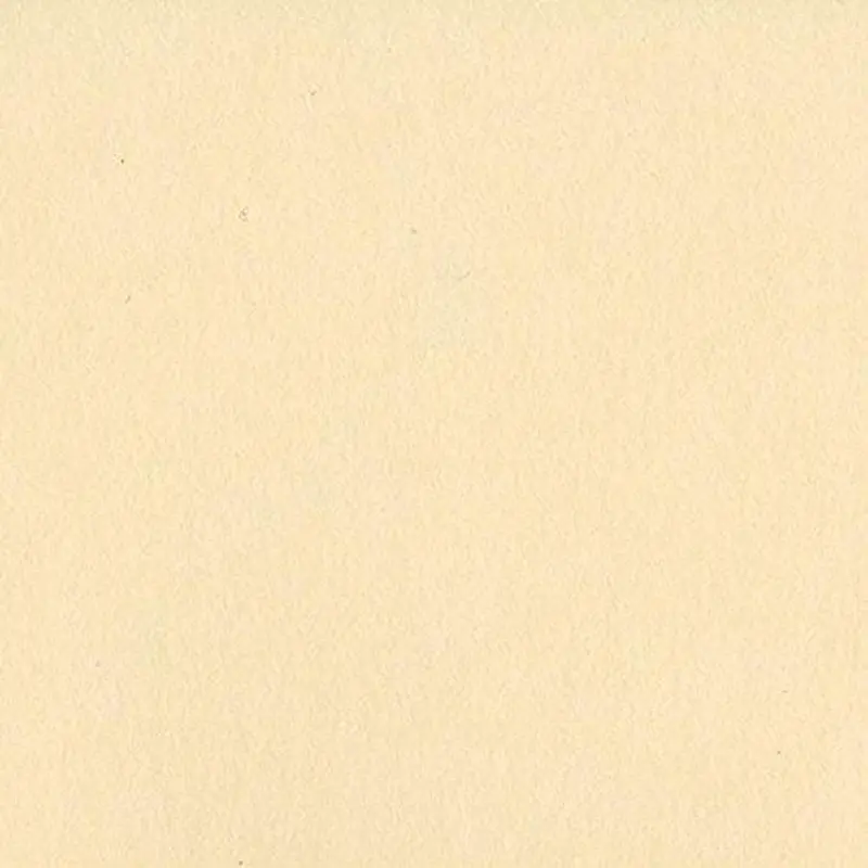 12X12 PIGMENT CARDSTOCK