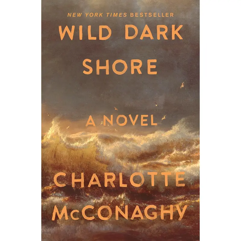 WILD DARK SHORE - MCCONAGHY. CHARLOTTE