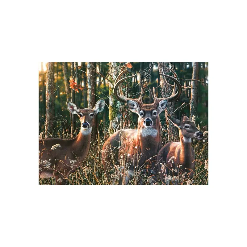 WOODLANDS SHADOW 1000 PC PUZZLE - KEMP. JAY