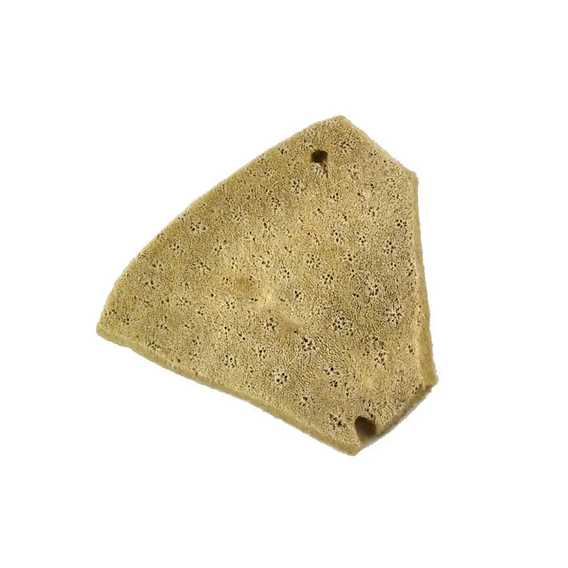 ELEPHANT EAR SPONGE 3IN