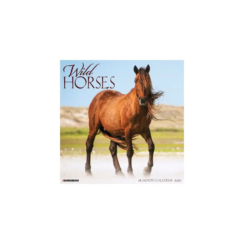 WILD HORSES 2021 WALL CALENDAR -