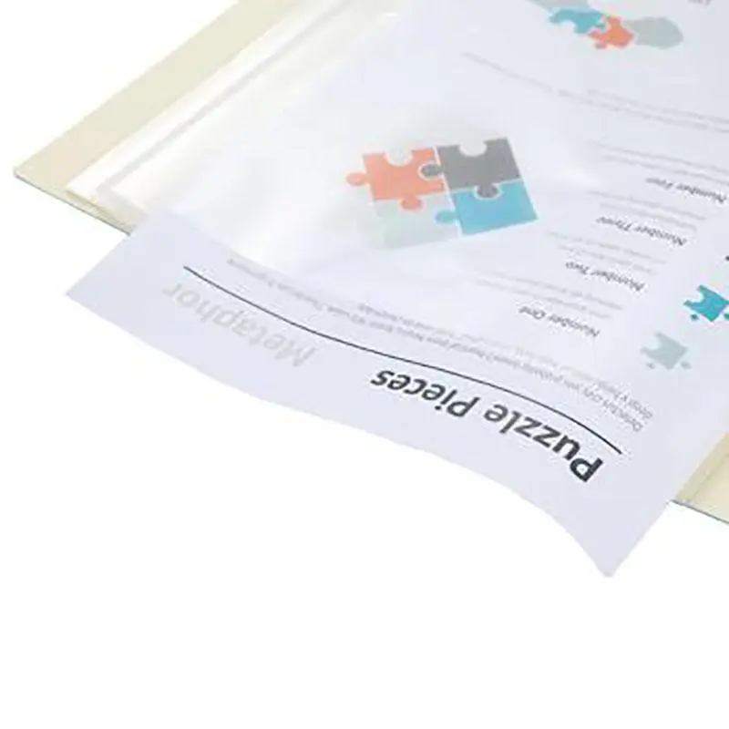 Display Book 60 Sheet