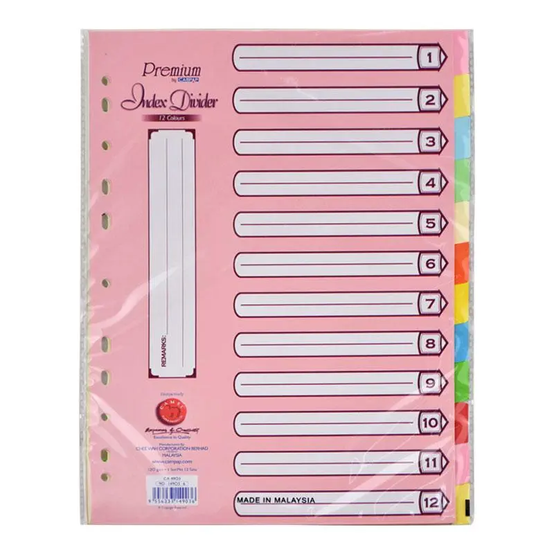 File Devider 12 Color-4903