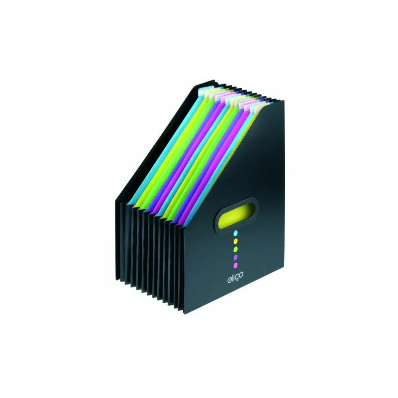DESK EXPANDER A4 PORTRAIT 13 PART ELIGO-15171